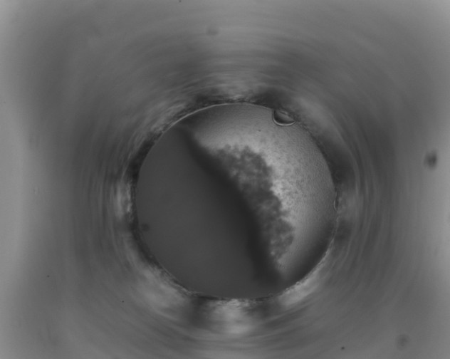 X0000092060182200709191150