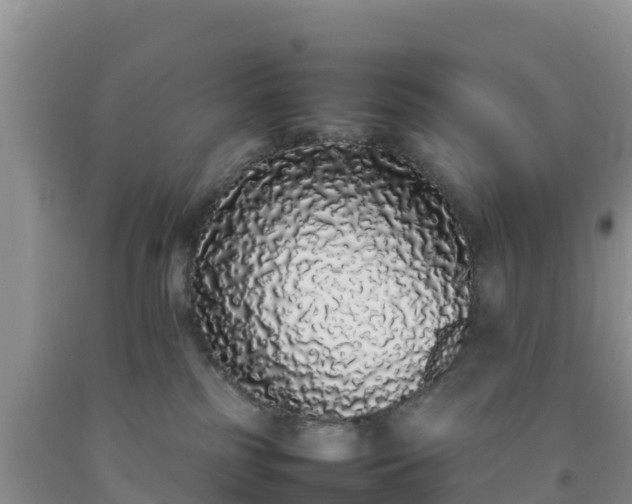 X0000092060185200709191150