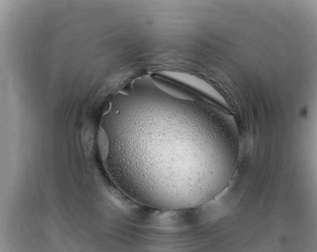 X0000092060186200709191150