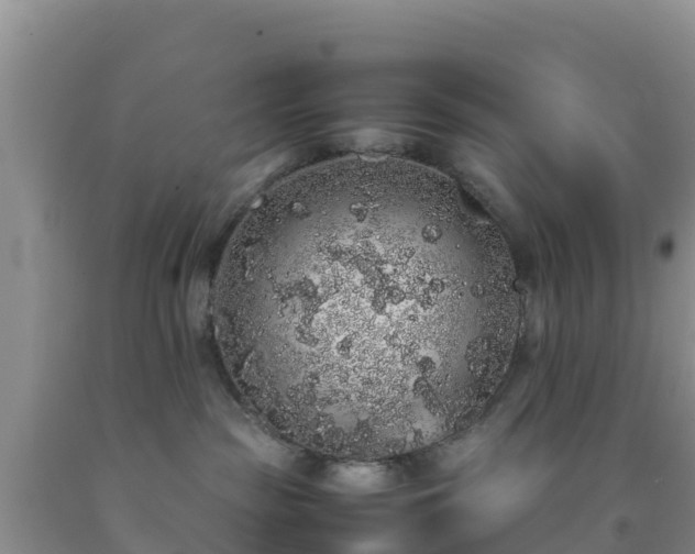 X0000092060189200709191150