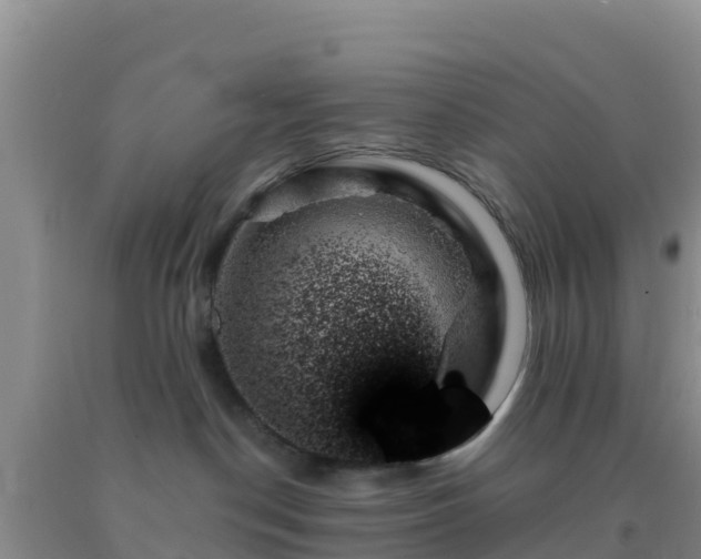 X0000092060190200709191150