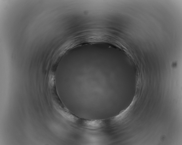 X0000092060191200709191150