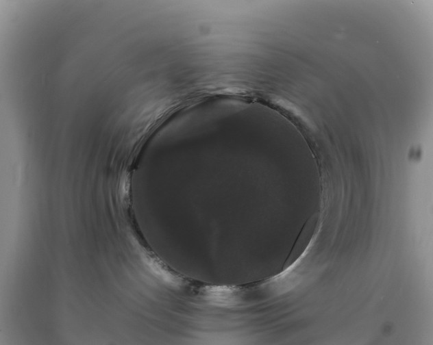 X0000092060192200709191150