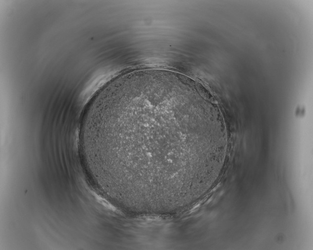 X0000092060194200709191149