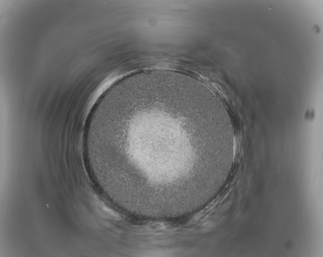 X0000092060195200709191149