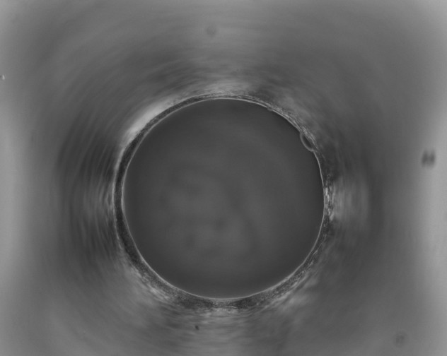 X0000092060196200709191149