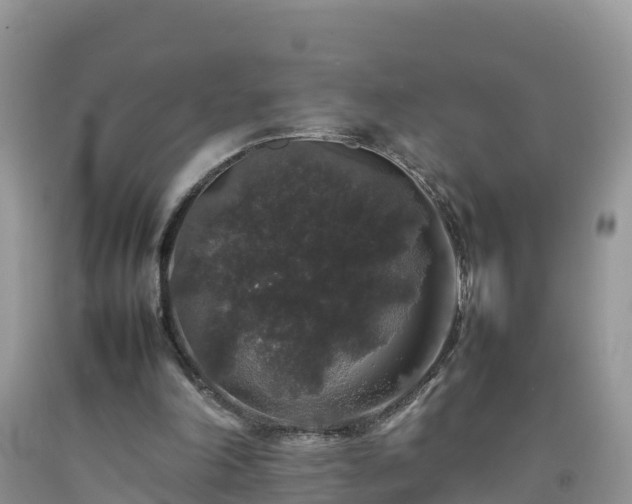 X0000092060198200709191149