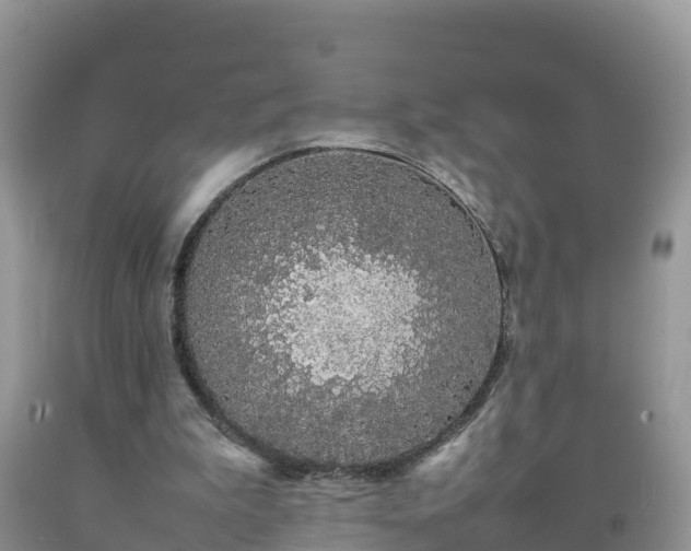 X0000092060199200709191149