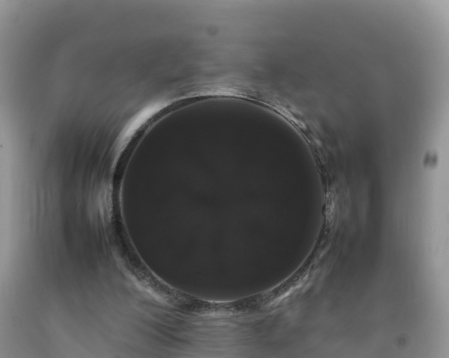 X0000092060200200709191149