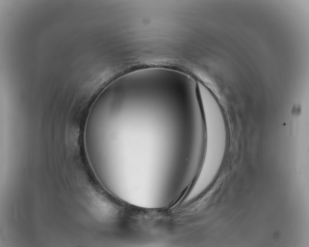 X0000092060201200709191149