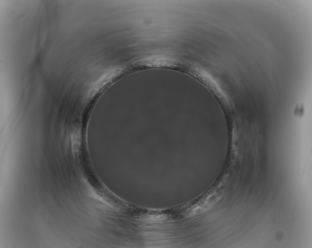 X0000092060202200709191149