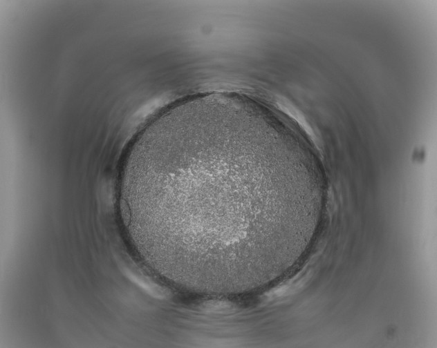 X0000092060203200709191149