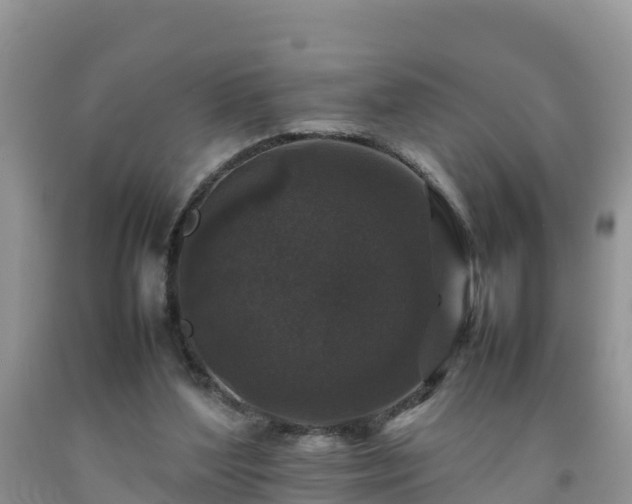 X0000092060204200709191149