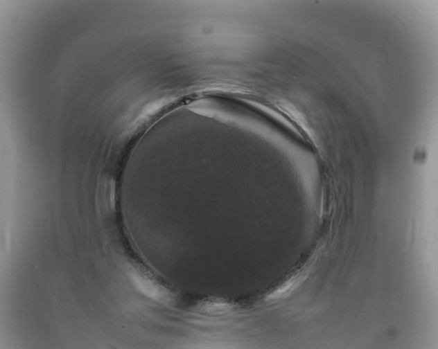 X0000092060205200709191149