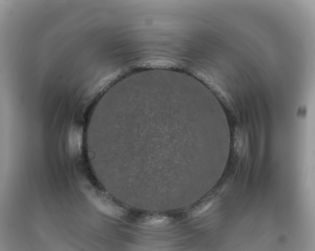 X0000092060206200709191149