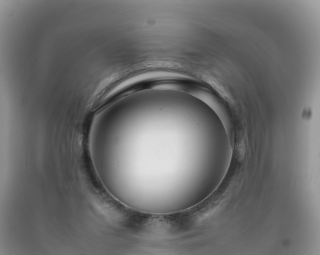 X0000092060207200709191149