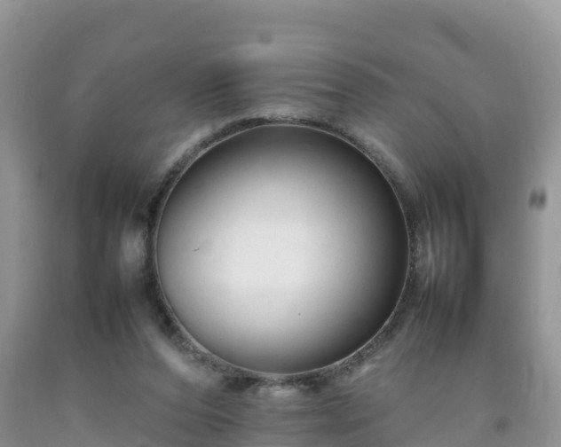 X0000092060208200709191149