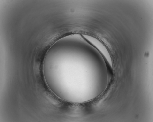 X0000092060209200709191149