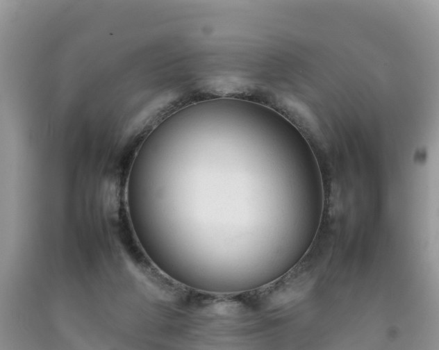 X0000092060210200709191149