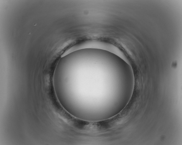 X0000092060211200709191149