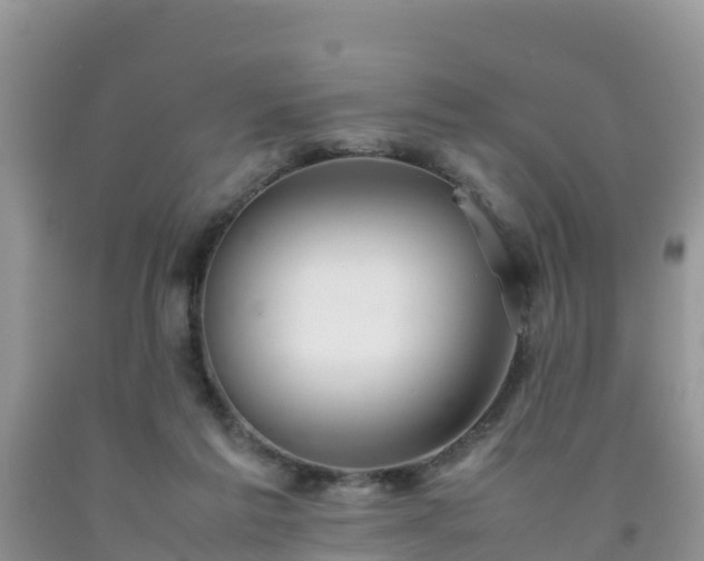 X0000092060213200709191149