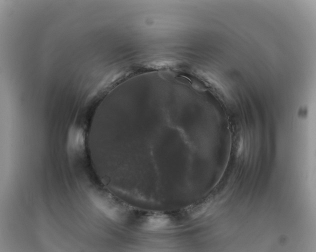 X0000092060214200709191149