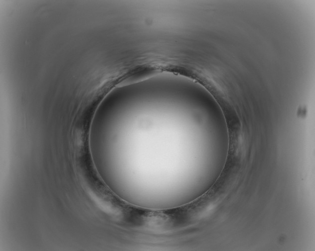 X0000092060215200709191149