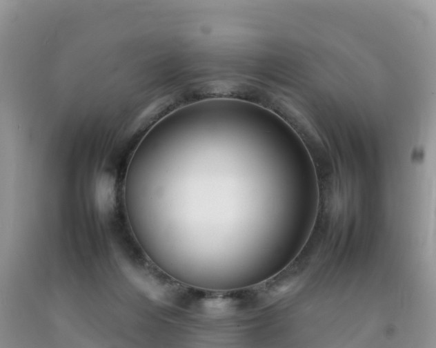 X0000092060216200709191149