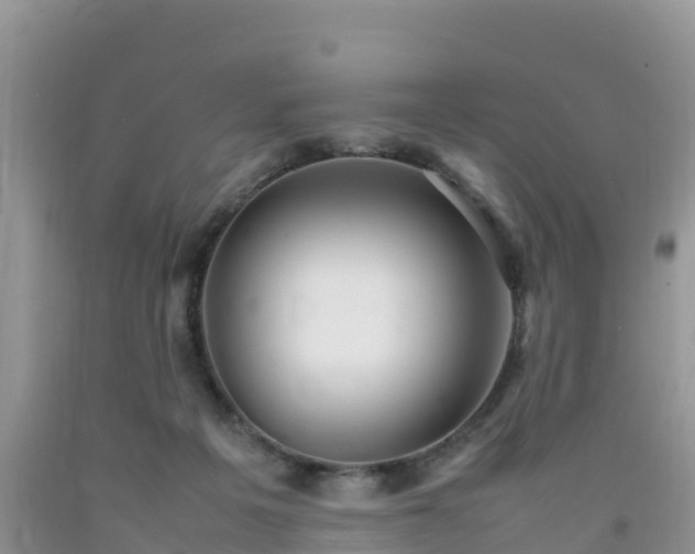 X0000092060217200709191149