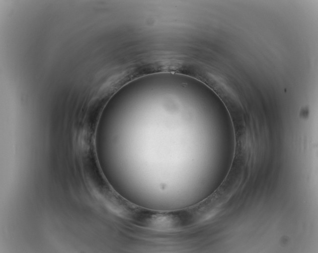 X0000092060218200709191149