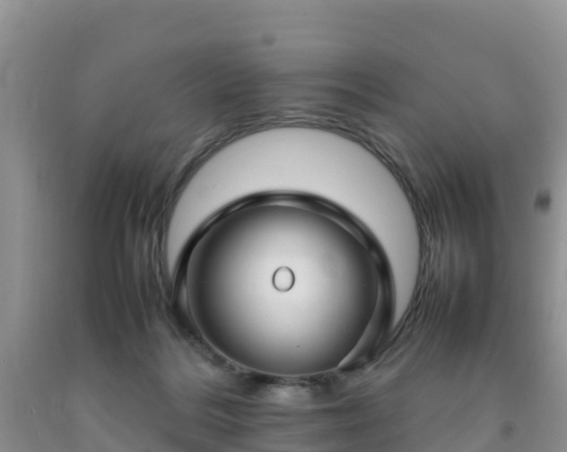 X0000092060220200709191149