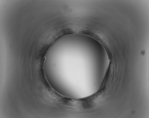 X0000092060221200709191149