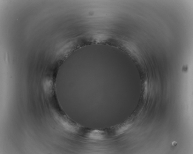 X0000092060222200709191148