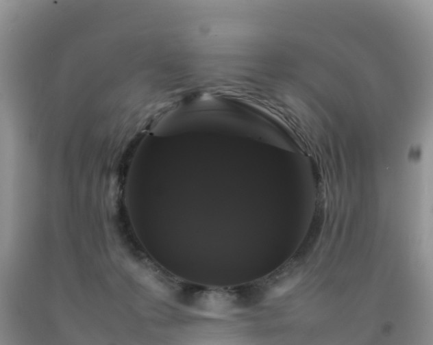 X0000092060223200709191148