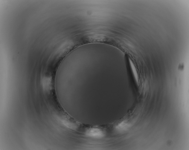 X0000092060224200709191148