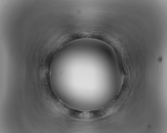 X0000092060225200709191148