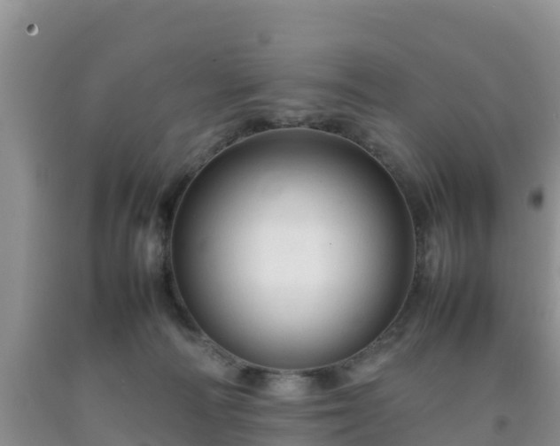 X0000092060226200709191148