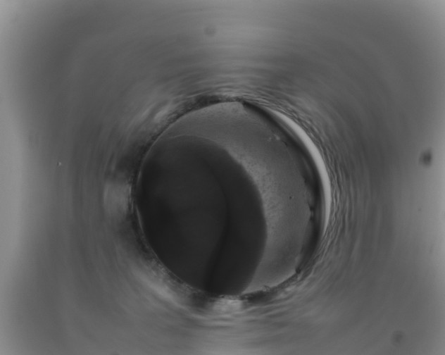 X0000092060227200709191148