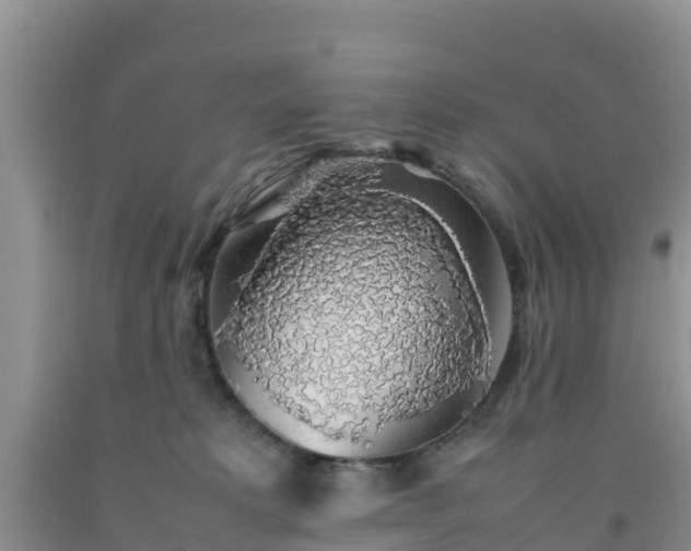 X0000092060229200709191148