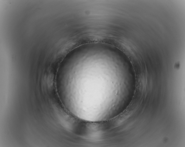 X0000092060230200709191148