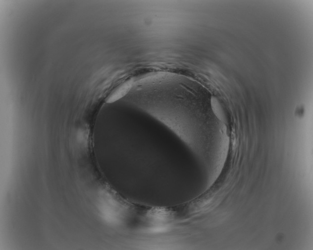 X0000092060231200709191148