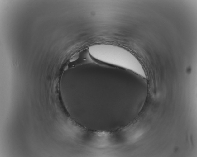 X0000092060233200709191148