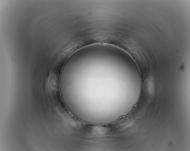 X0000092060234200709191148