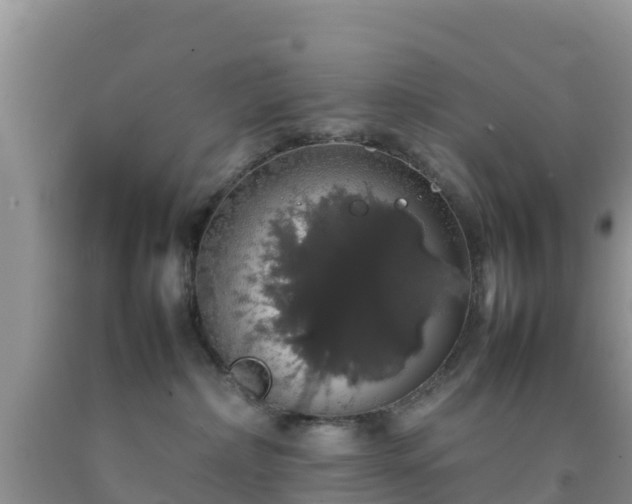 X0000092060236200709191148