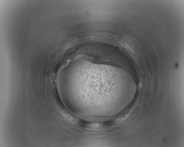 X0000092060237200709191148