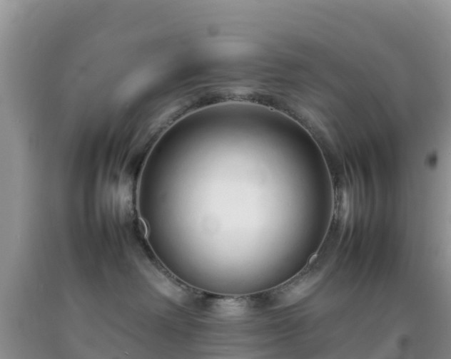 X0000092060238200709191148