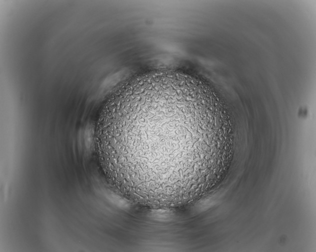 X0000092060240200709191148