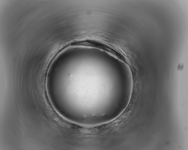 X0000092060241200709191148