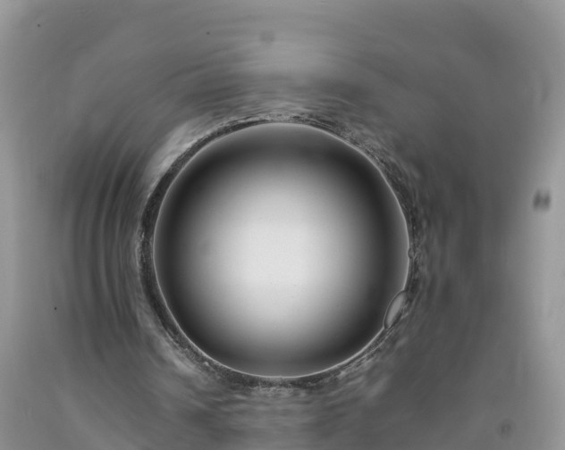 X0000092060242200709191148