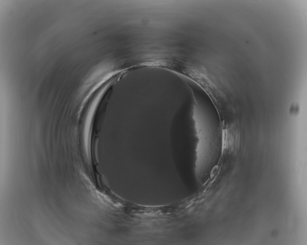 X0000092060243200709191148